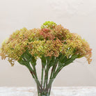 Close-up of artificial green-pink skimmia buds showing dense clusters and natural colour variation