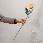 Artificial soft peach and yellow rose stem held in hand, featuring layered petals and realistic green foliage.