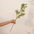 Hand holding Artificial Autumnal Fern Foliage Stem with delicate green and yellow-toned foliage 