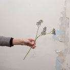 Artificial soft blue patrinia spray stem held in hand, featuring delicate clustered flowers on fine branching stems