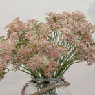 lose-up of artificial soft pink-peach patrinia flowers showing fine clustered detail and natural texture