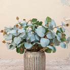Close up Artificial Eucalyptus Bunch Stems with soft blue-green rounded leaves and natural brown seed pods displayed in a textured metallic vase