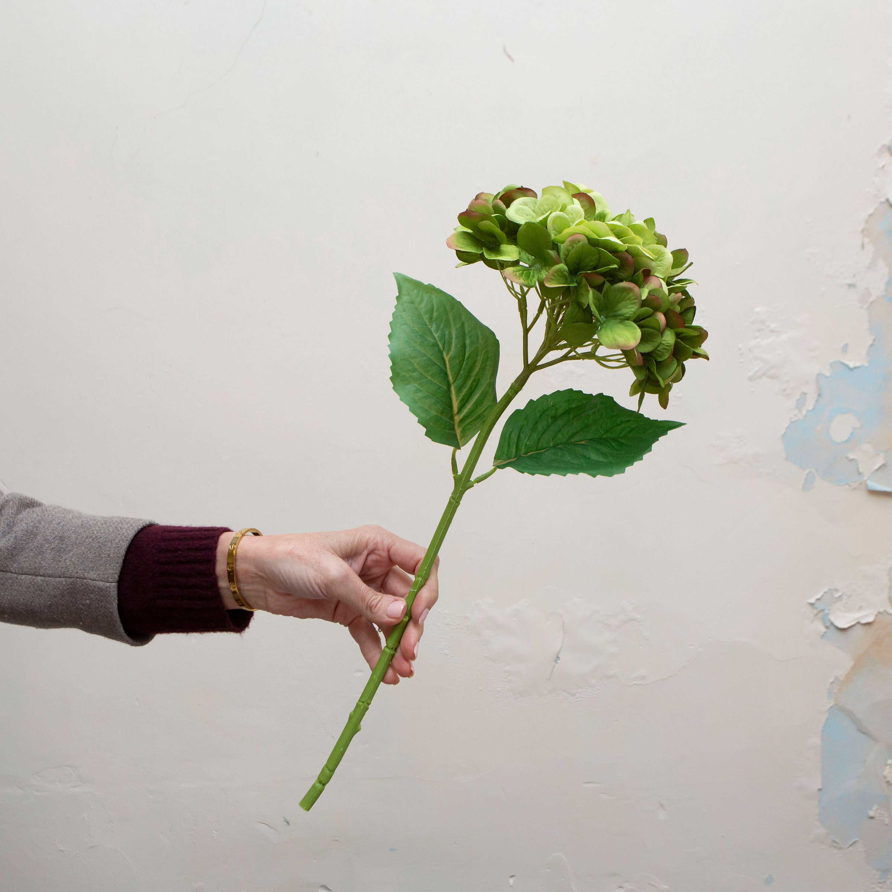 Artificial green hydrangea stem being held in hand, featuring a rounded flower head made up of layered fresh green petals with realistic foliage on a sturdy stem
