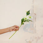 Hand holding Artificial Hellebore Stem with delicate white flowers, soft green centres, buds and realistic green foliage 