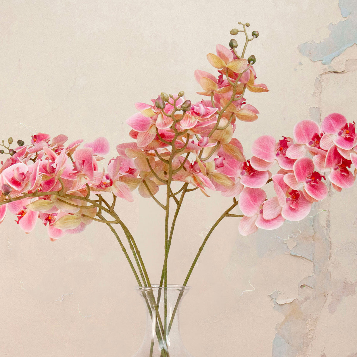 Close up of Artificial Phalaenopsis Orchid Stems with vibrant pink and soft blush blooms, detailed centres and delicate buds displayed in a clear glass vase