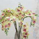 Close-up of artificial green orchid flowers with pink detailing, showing delicate petals and natural colour variation