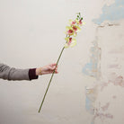 Artificial green orchid stem with pink detailing held in hand, featuring open orchid blooms and buds on a slender stem