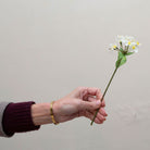 Hand holding artificial white Blossom pick stem with yellow centres 
