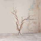 Artificial Twig Garland Stems with twisting natural brown branches and fine twig detailing displayed in a tall clear glass vase