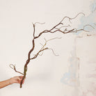 Hand holding Artificial Twig Garland Stem with twisting natural brown branches and fine twig detailing 