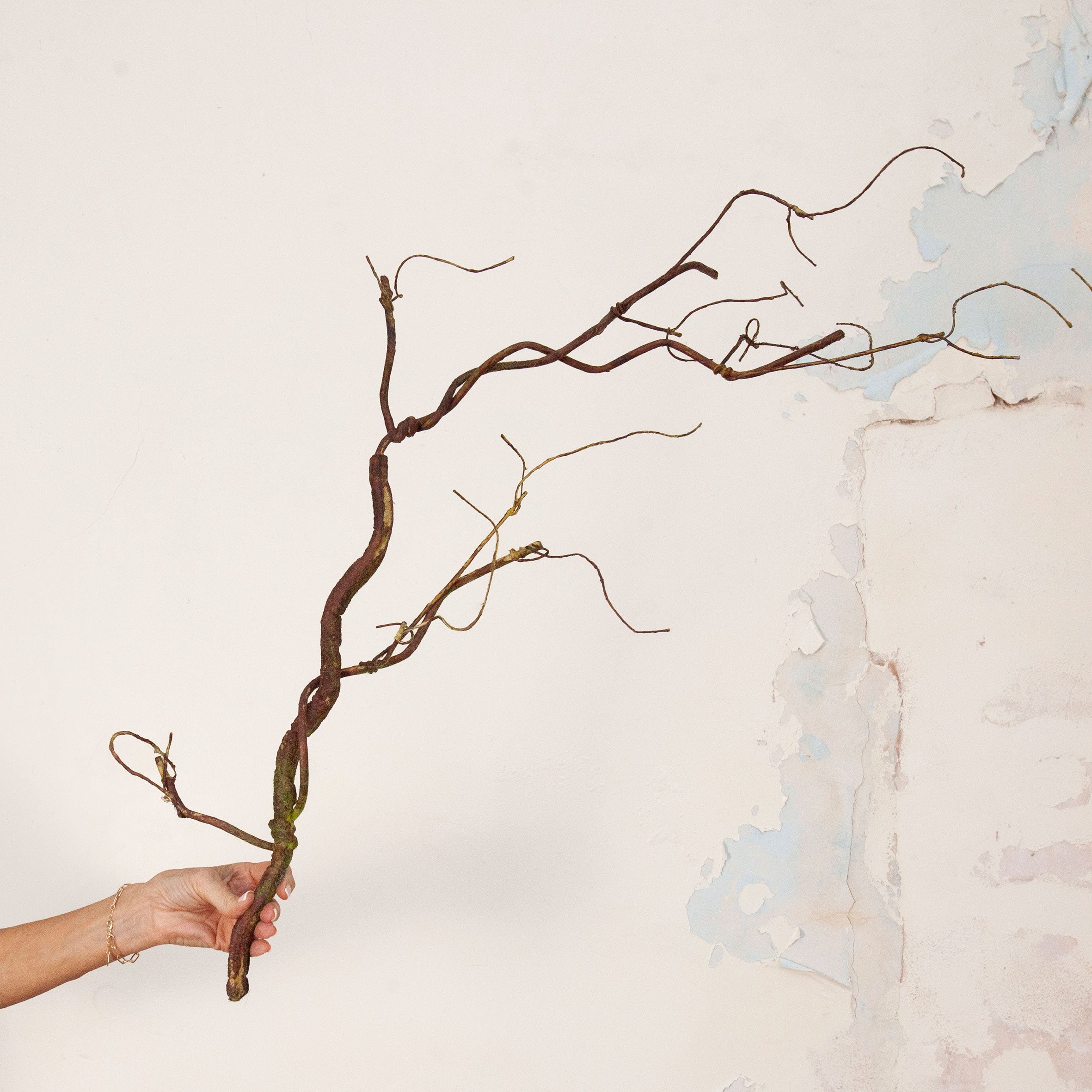 Hand holding Artificial Twig Garland Stem with twisting natural brown branches and fine twig detailing 