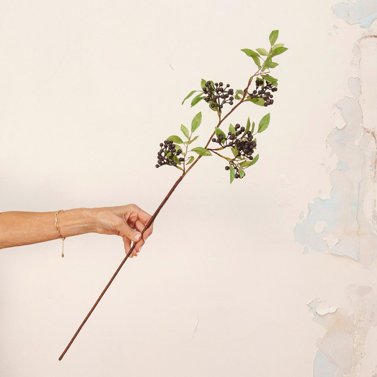 Hand holding Artificial Berry Stem with clusters of dark purple-black berries, fresh green leaves and natural brown branches 