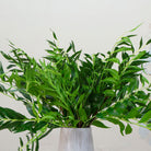 Close up of greenery leaves spray 