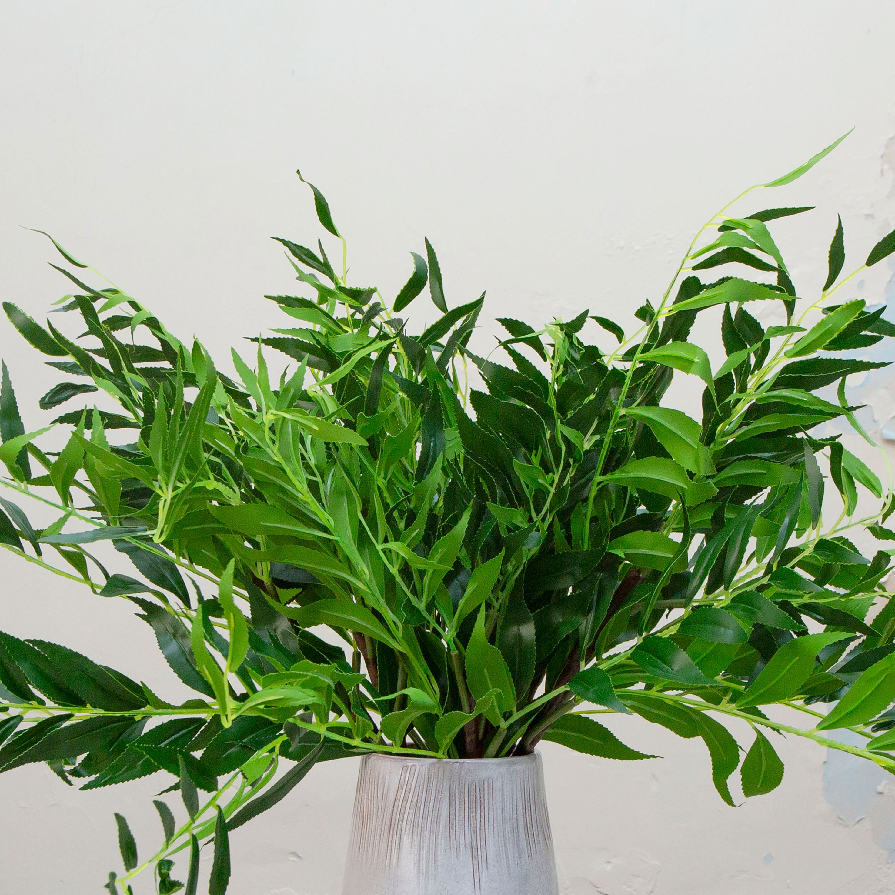 Close up of greenery leaves spray 