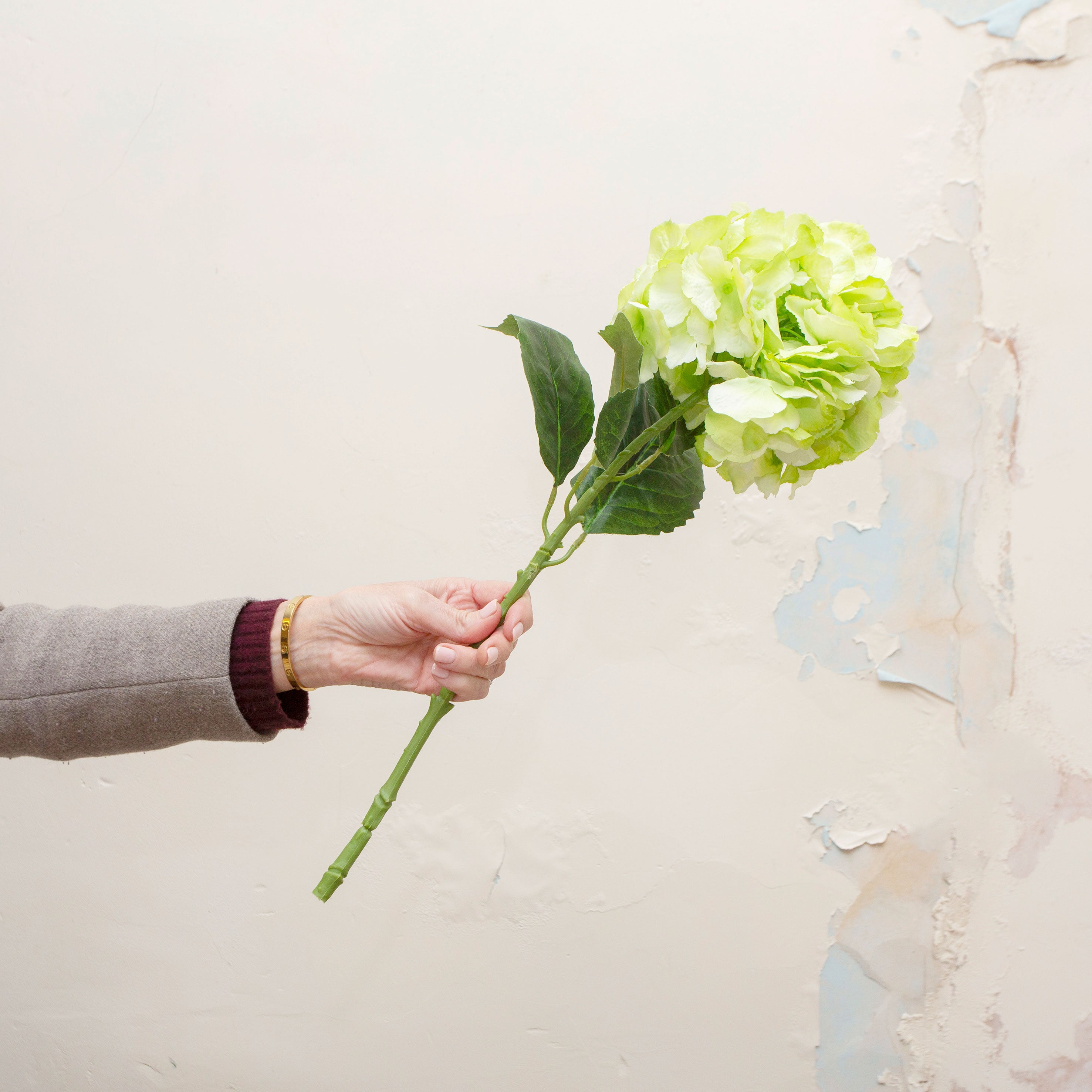 Hand holding large headed artificial line green hydrangea stem with leaves displayed