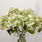 Close-up of artificial hydrangea flower, showing layered soft green petals with gentle blush detailing, natural colour variation and realistic texture
