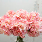 Close-up of artificial hydrangea flowers showing softly ruffled petals in blended peach, blush pink and cream tones with natural colour variation