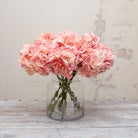 Artificial peach-pink hydrangea stem displayed in a vase, with a generous clustered bloom and realistic green foliage