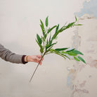 Hand holding artificial green eucalyptus stem with seeds 