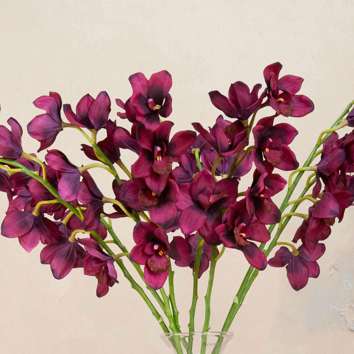 Close up Artificial Plum Cymbidium Orchid Stem with rich deep plum blooms, delicate yellow centres and realistic green stems displayed in a clear glass vase