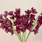 Close up Artificial Plum Cymbidium Orchid Stem with rich deep plum blooms, delicate yellow centres and realistic green stems displayed in a clear glass vase