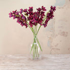 Artificial Plum Cymbidium Orchid Stems with rich deep plum blooms, delicate yellow centres and realistic green stems displayed in a clear glass vase