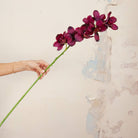 Hand holding Artificial Plum Cymbidium Orchid Stem with rich deep plum blooms, delicate yellow centres 