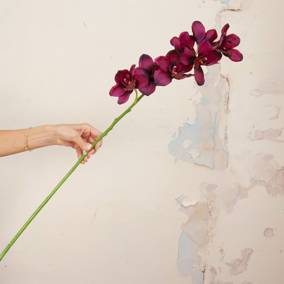 Hand holding Artificial Plum Cymbidium Orchid Stem with rich deep plum blooms, delicate yellow centres 