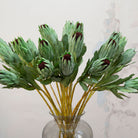Close up of artificial green protea stems with burgundy centres