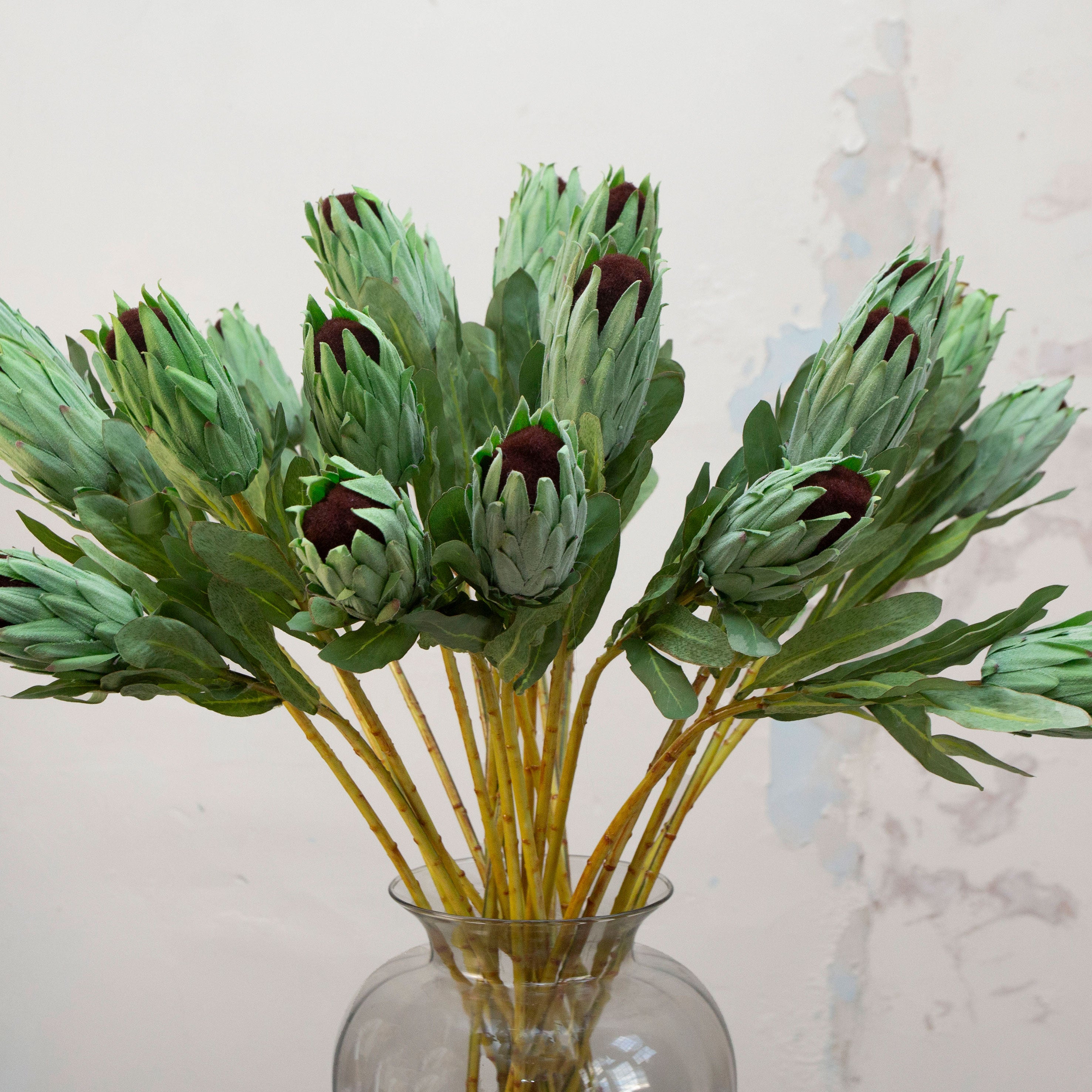 Close up of artificial green protea stems with burgundy centres