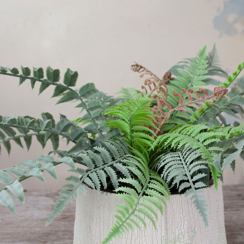 Close up of Fern in a Rustic Cream and Green Bowl