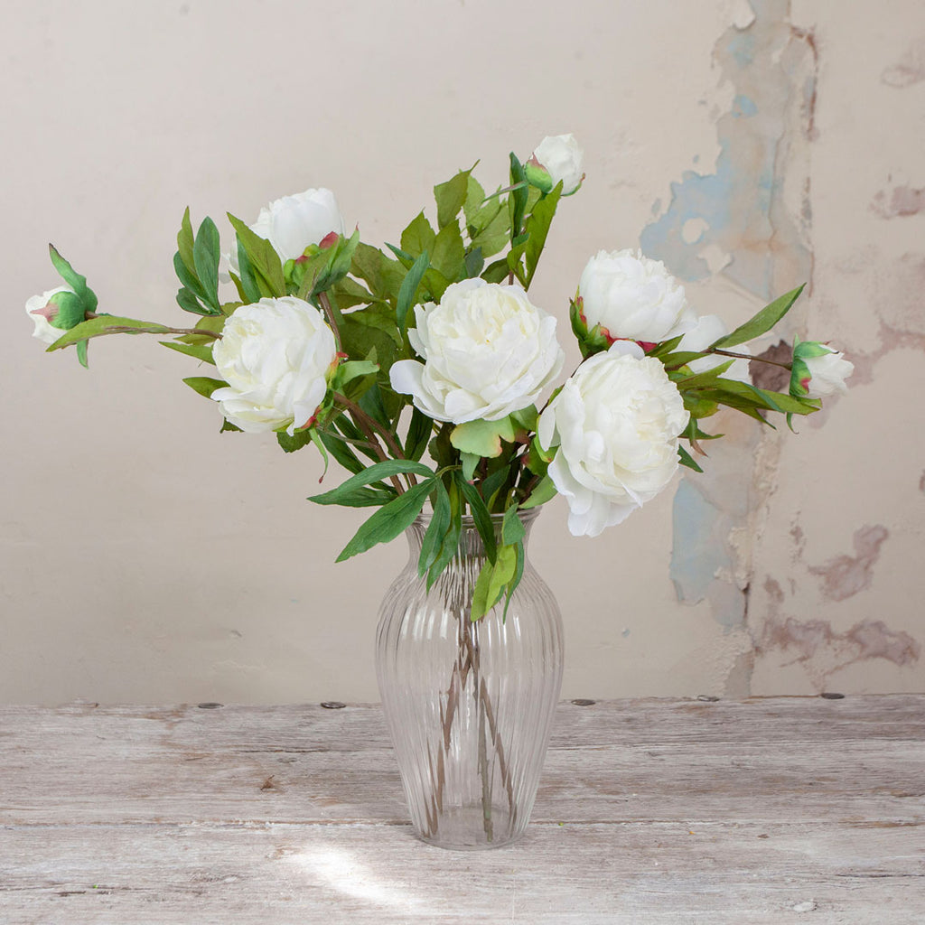 Bridal White Peonies in an Optic Vase