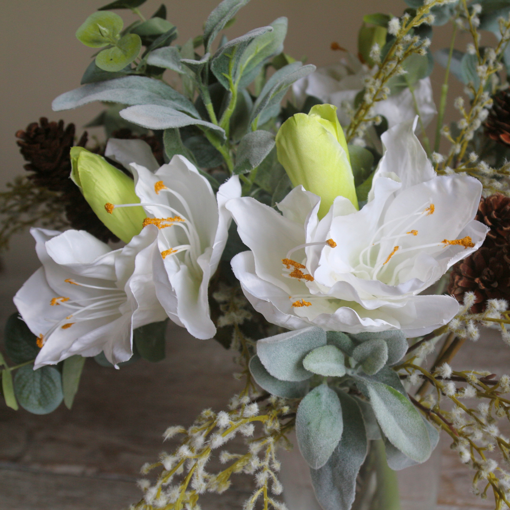 Amaryllis, Acacia, and Pinecones in a Vase