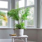 Artificial fern arrangement with lush green fronds displayed in a decorative engraved pot