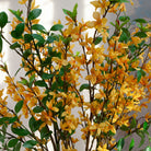 Artificial forsythia arrangement with bright yellow spring blossoms displayed in a footed amber glass vase