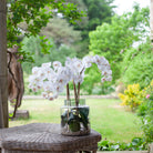 PF2105255_Life2_Square