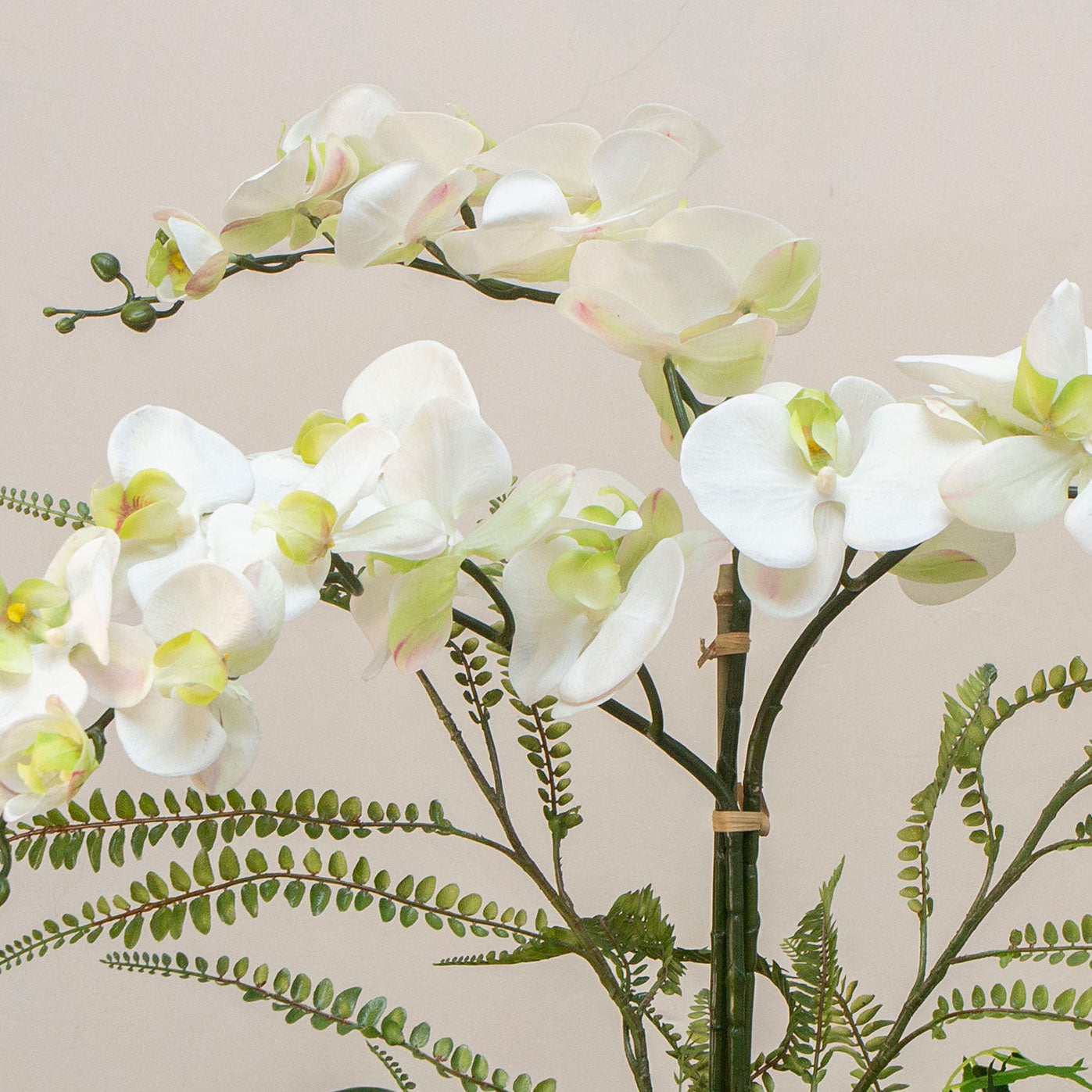 Artificial phalaenopsis orchid and ferns arranged in a tall lotus style pot