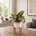Artificial real touch rubber plant with realistic green leaves in a grey pot with a natural wooden stand, styled on a table in a neutral living room.