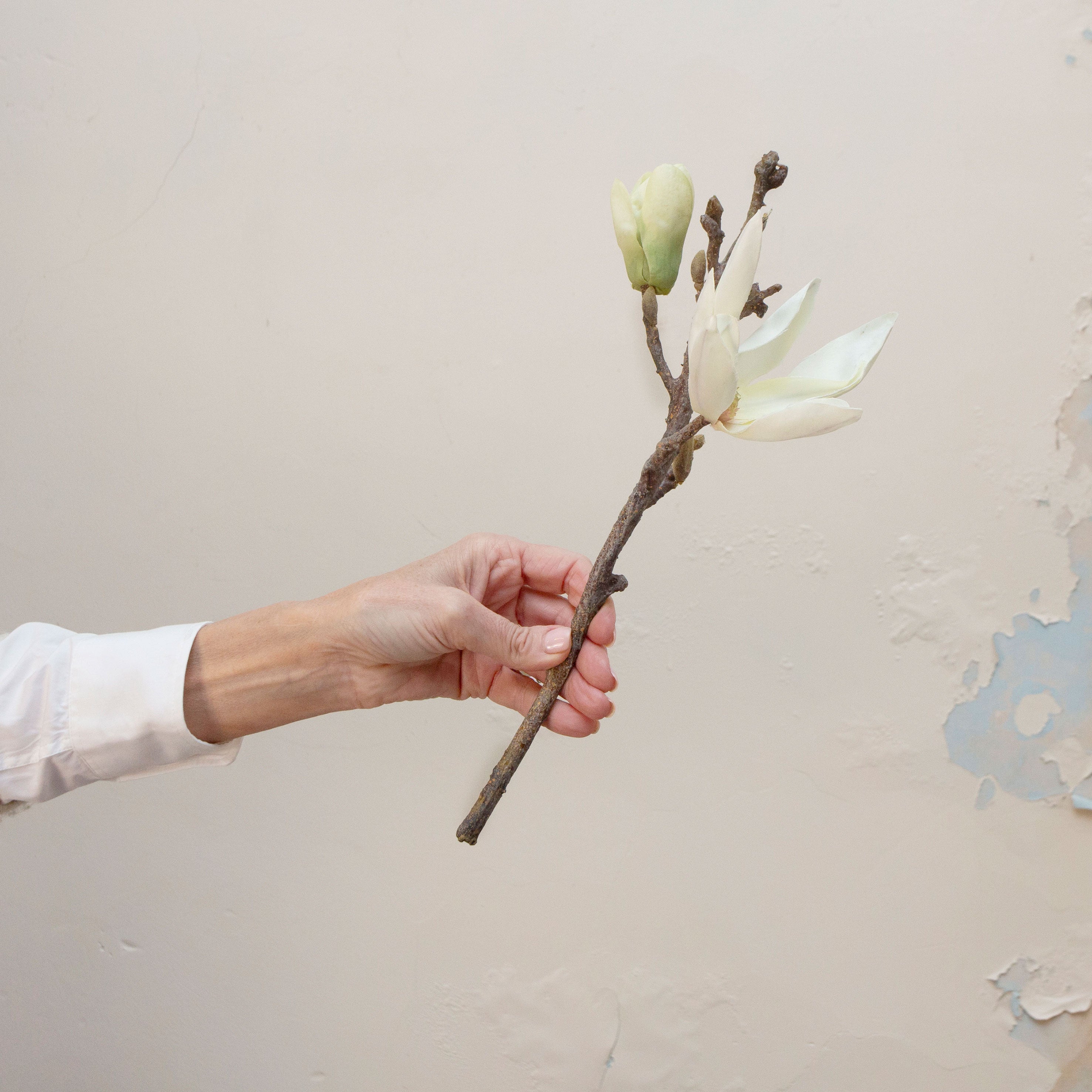 Artificial cream magnolia spray stem held in hand, featuring open magnolia flowers and closed buds on a woody stem