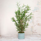 Bamboo Tree set in an Engraved Teal Ceramic with Real Moss  Peony