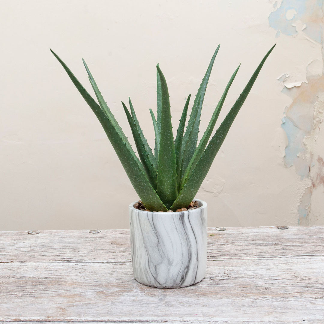 Real Touch Aloe Vera in a Marble Ceramic Base Peony