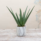 Real Touch Aloe Vera in a Marble Ceramic Base Peony