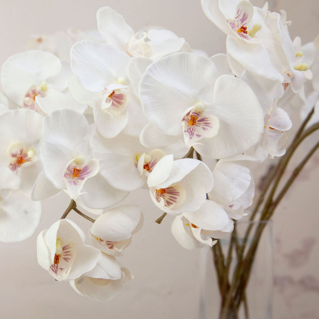 Real Touch Bridal White Phalaenopsis Orchid Stem Peony