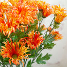 Orange and Yellow Daisy with Buds and Foliage Peony