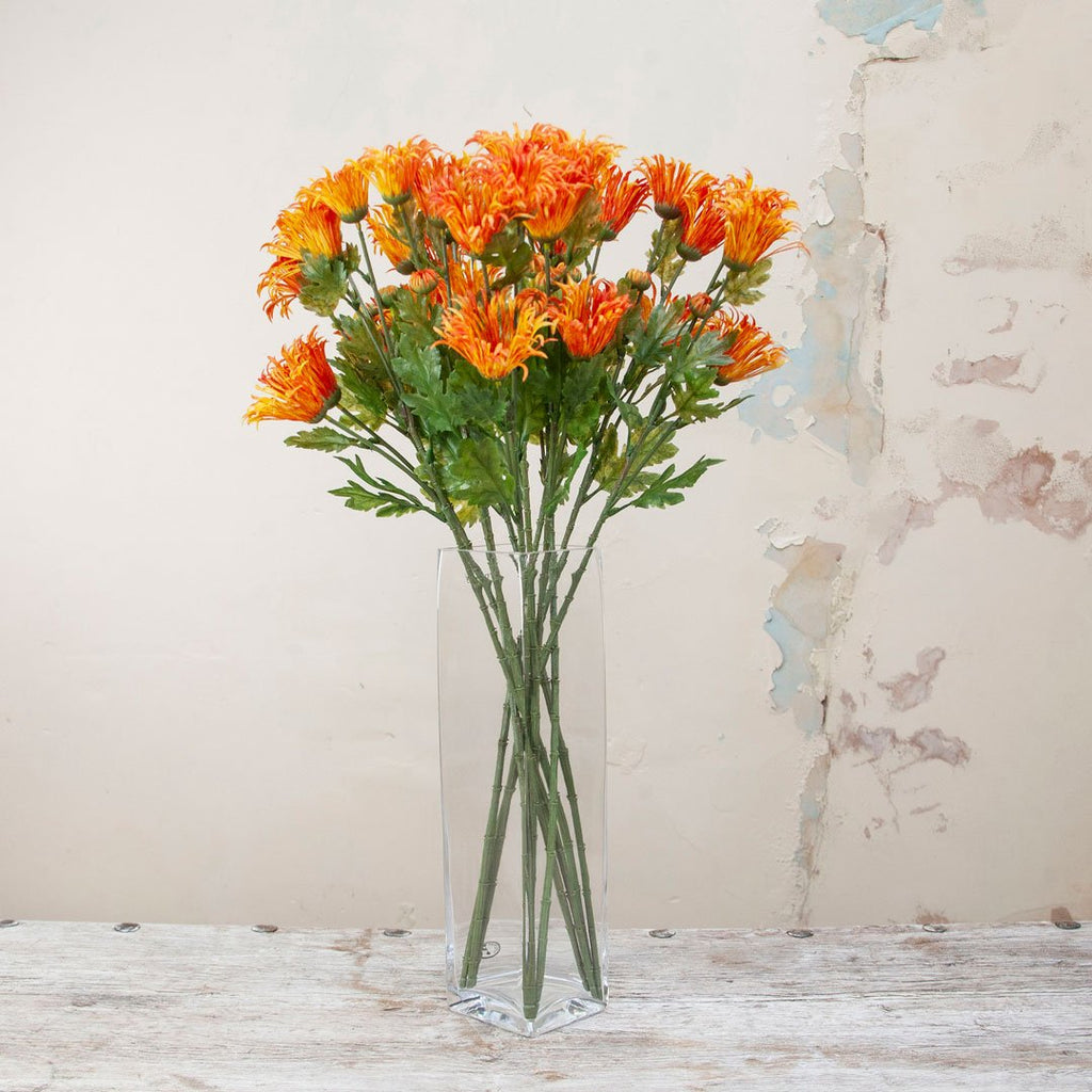 Orange and Yellow Daisy with Buds and Foliage Peony