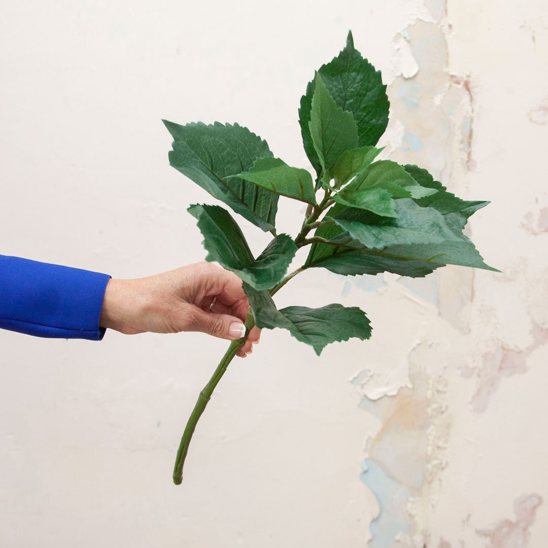 Hydrangea Stem with Leaves Peony