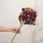 Purple and Green Pom Pom Hydrangea Stem with Leaves Peony