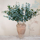 Green Eucalyptus Stem Peony