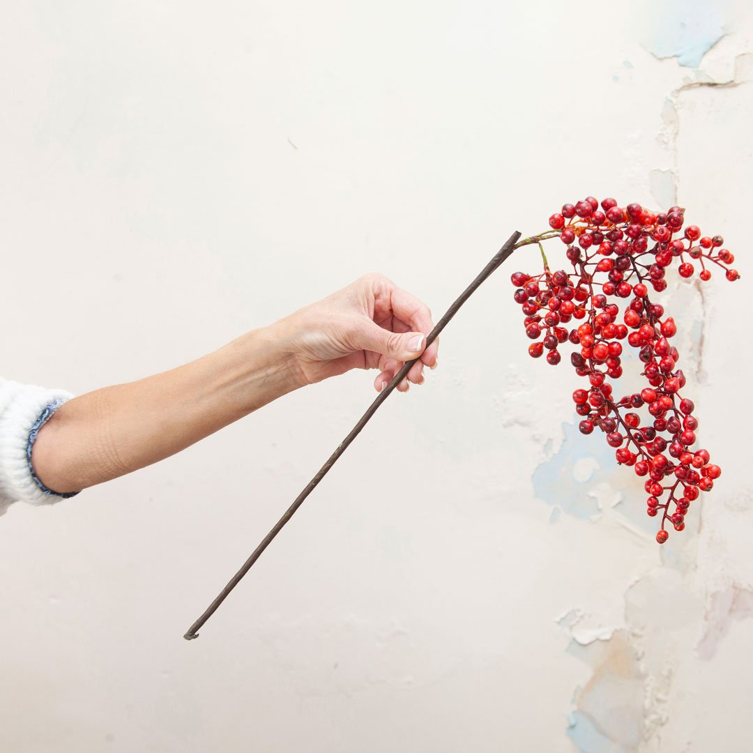 Red Trailing Berry Stem Peony