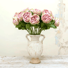 Lilac cabbage rose with leaves Peony